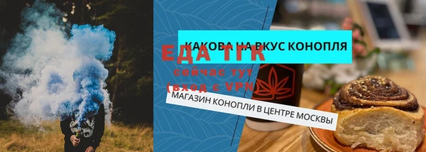 ГАЛЛЮЦИНОГЕННЫЕ ГРИБЫ Белокуриха