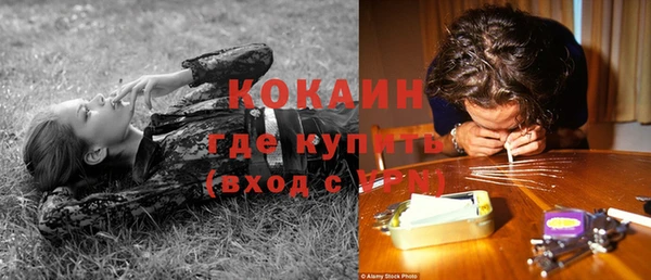 COCAINE Богородицк