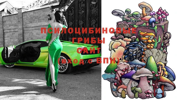 COCAINE Богородицк