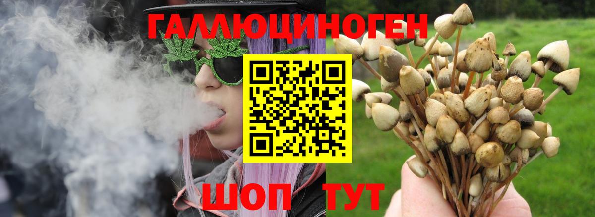 Городец  Галлюциногенные грибы мухоморы  Вход с VPN 